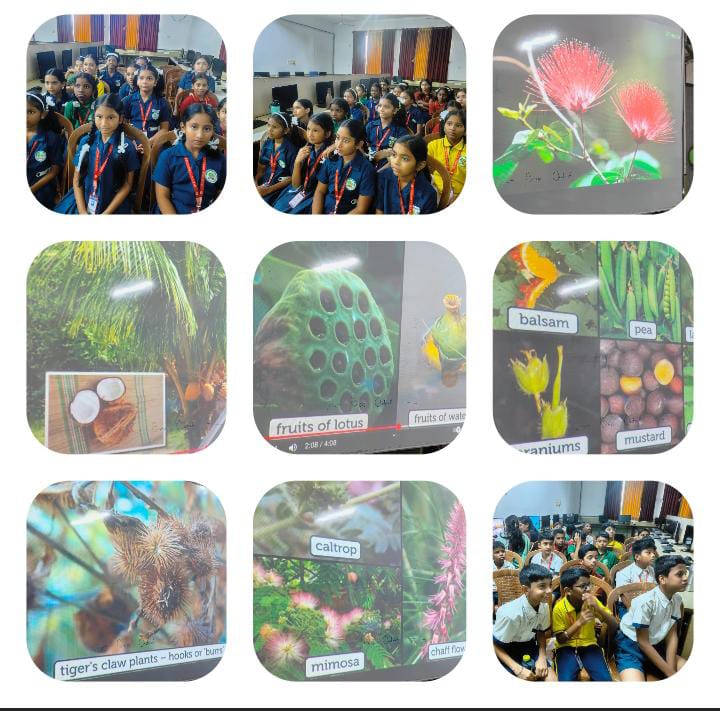 Annual Day 1